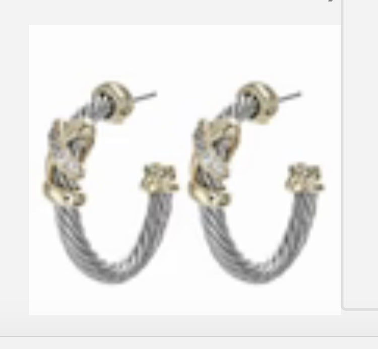 Designer X Earrings