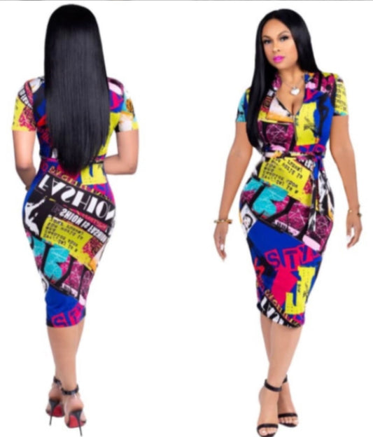 Multicolor Shirt Dress